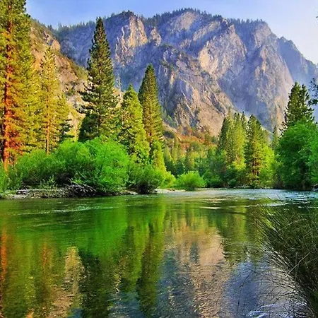 Sequoia Splendor, Inside Kings Canyon Np By Visitors Center Wilsonia Exterior photo
