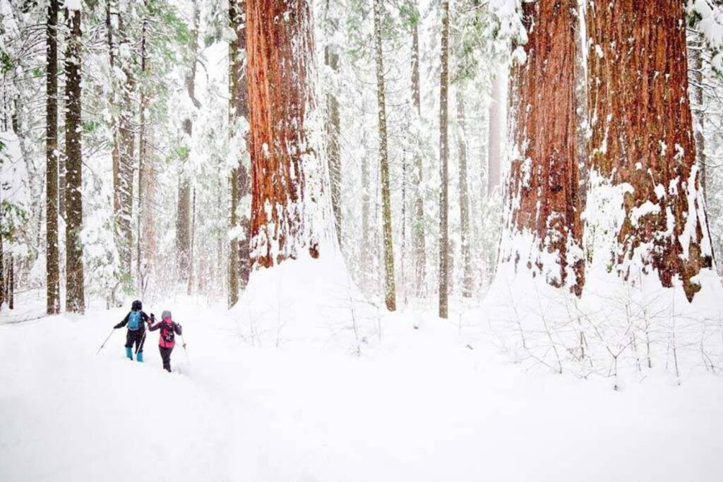 Holiday home Sequoia Splendor, Inside Kings Canyon Np By Visitors Center
