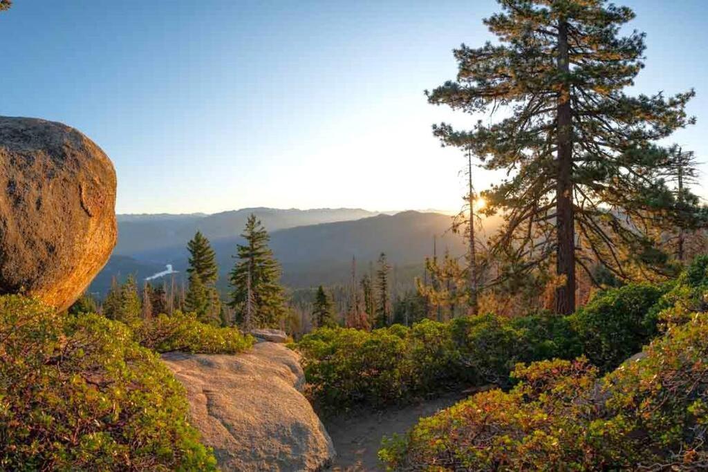 Sequoia Splendor, Inside Kings Canyon Np By Visitors Center Holiday home Wilsonia