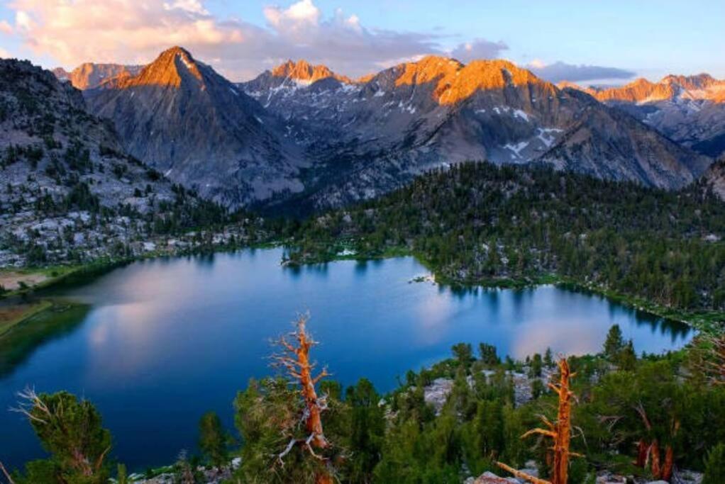 Sequoia Splendor, Inside Kings Canyon Np By Visitors Center Holiday home *