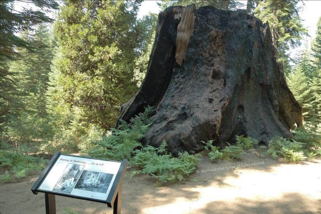 Holiday home Sequoia Splendor, Inside Kings Canyon Np By Visitors Center *