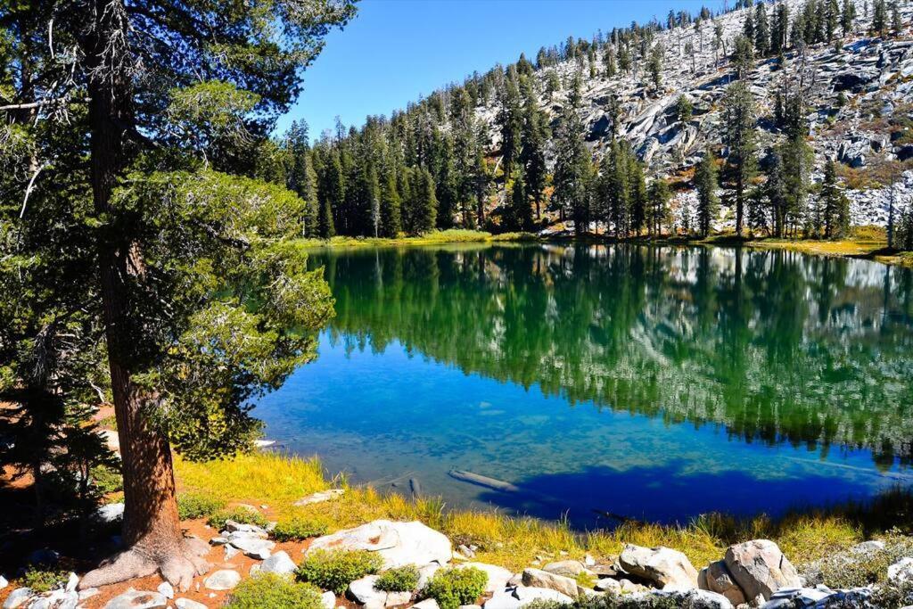 Sequoia Splendor, Inside Kings Canyon Np By Visitors Center Holiday home *